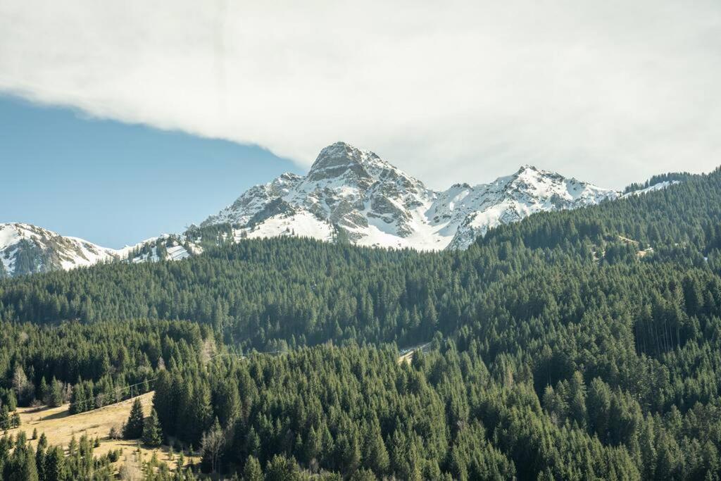 Au Le Pery, Vue Sur Le Mont De Grange Abondance