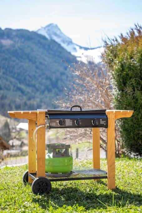 Au Le Pery, Vue Sur Le Mont De Grange * Abondance